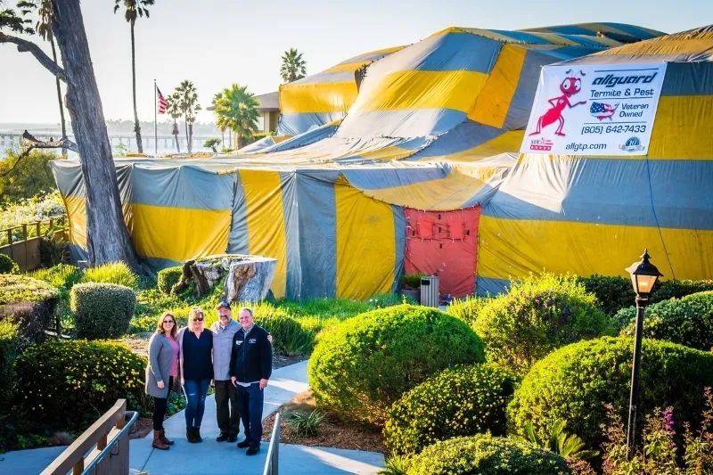 Pest Control Ventura CA Pest Control Ventura
